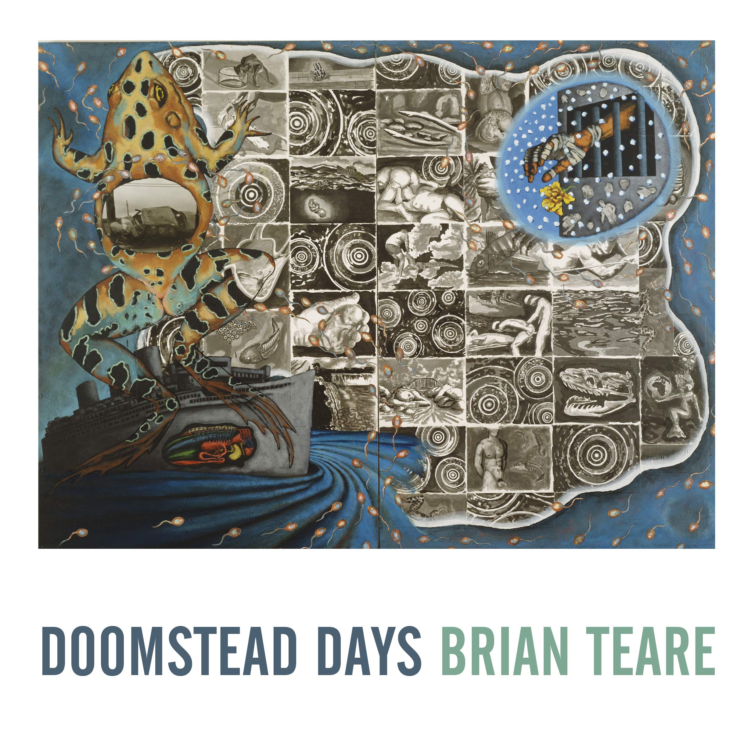 Doomstead Days by Brian Teare (Nighboat Books)