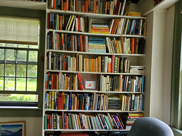 A tall shelf filled with works of fiction