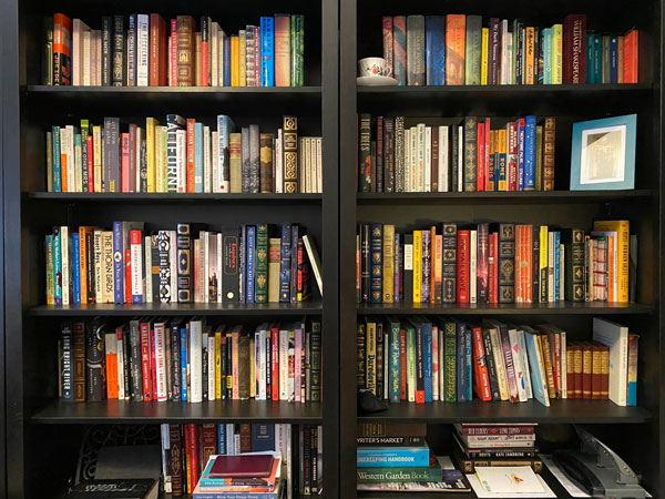 A stately, organized bookshelf