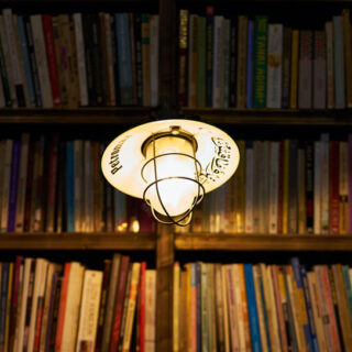 Bookcases illuminated by an overhead light fixture