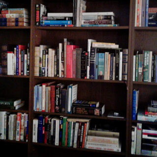 Bookcases full of books